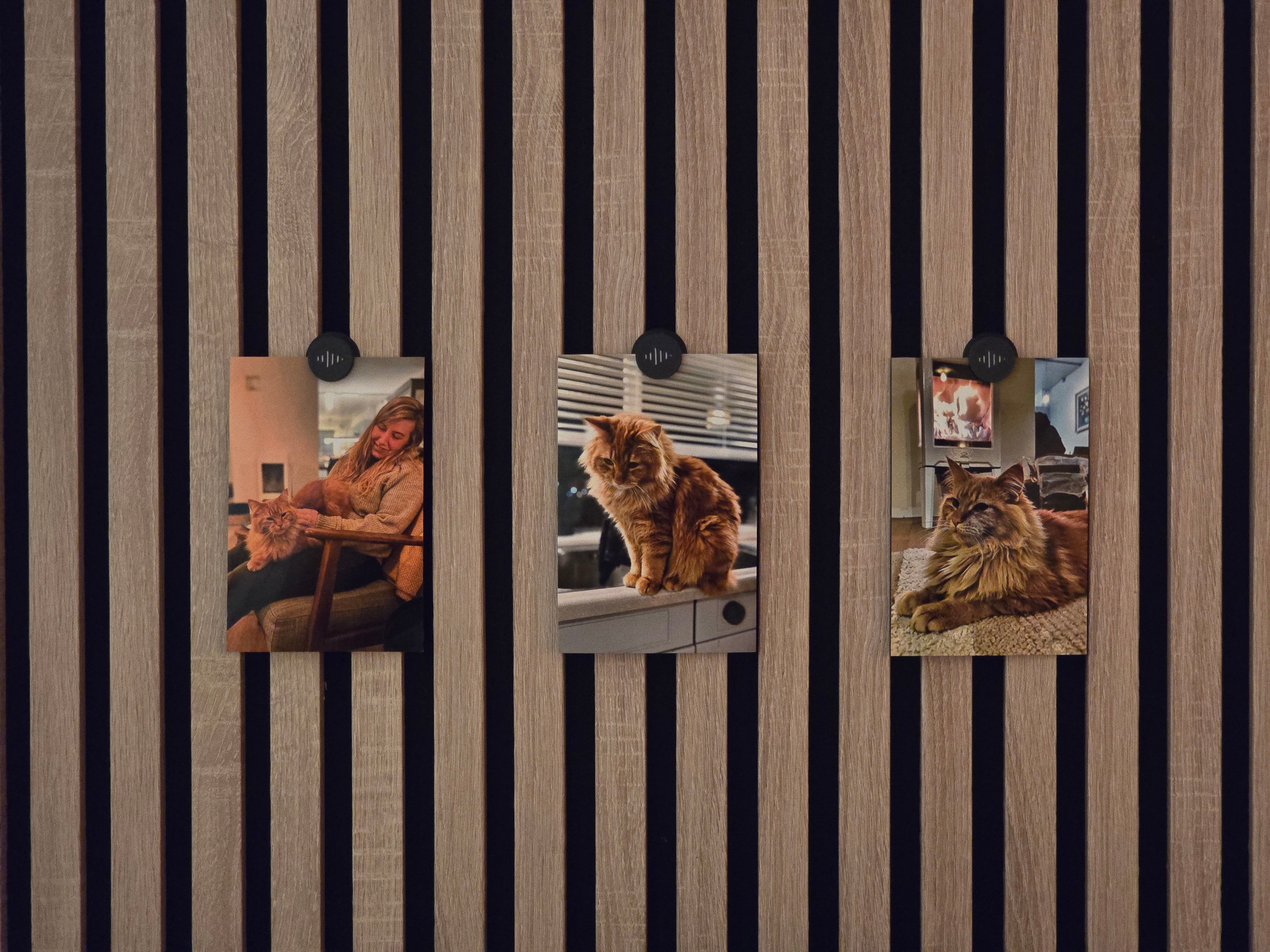Magnet Clips - 4 Pack - Installation: Wall Clip