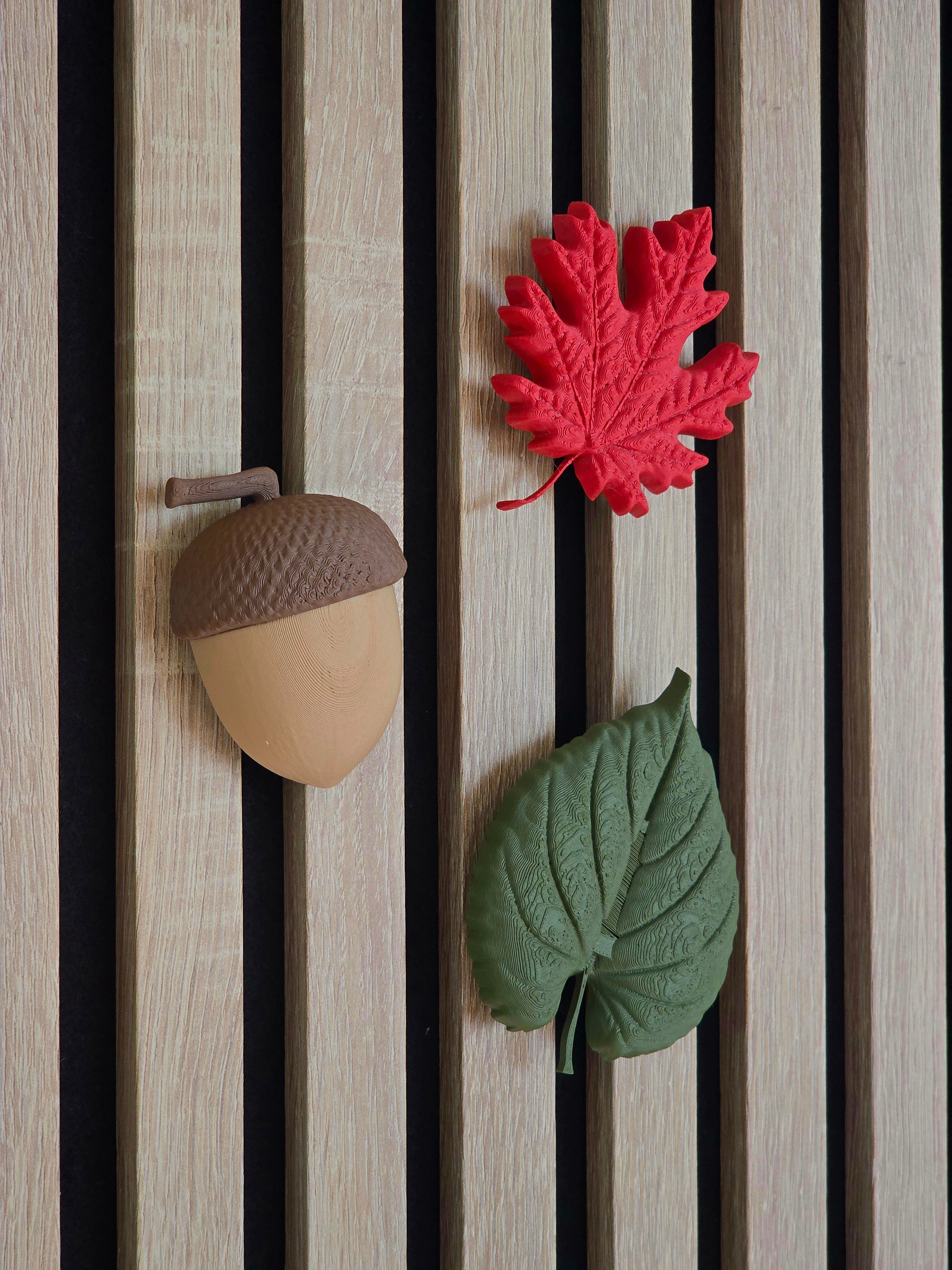 Autumn decoration - Installation: Wall Clip