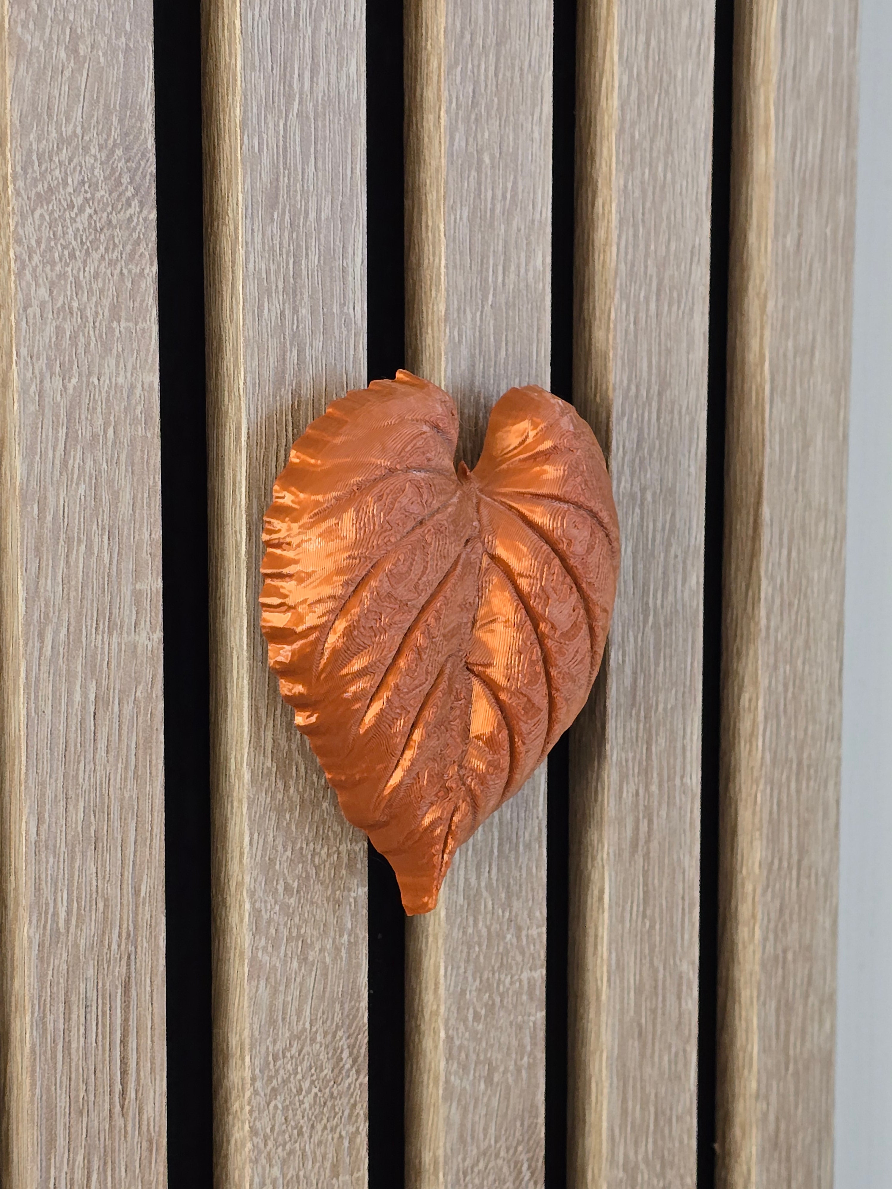 Autumn decoration - Installation: Wall Clip