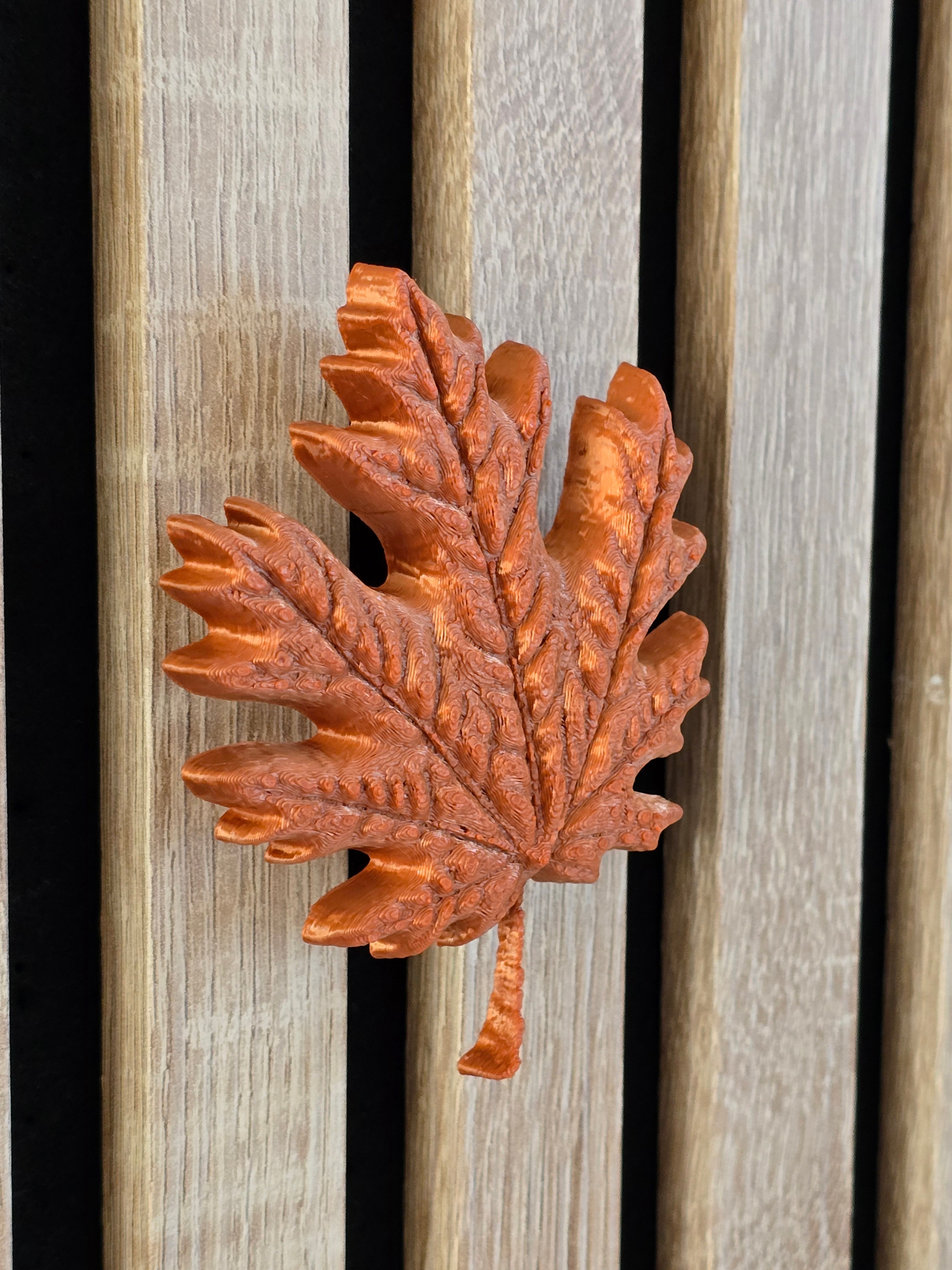 Autumn decoration - Installation: Wall Clip