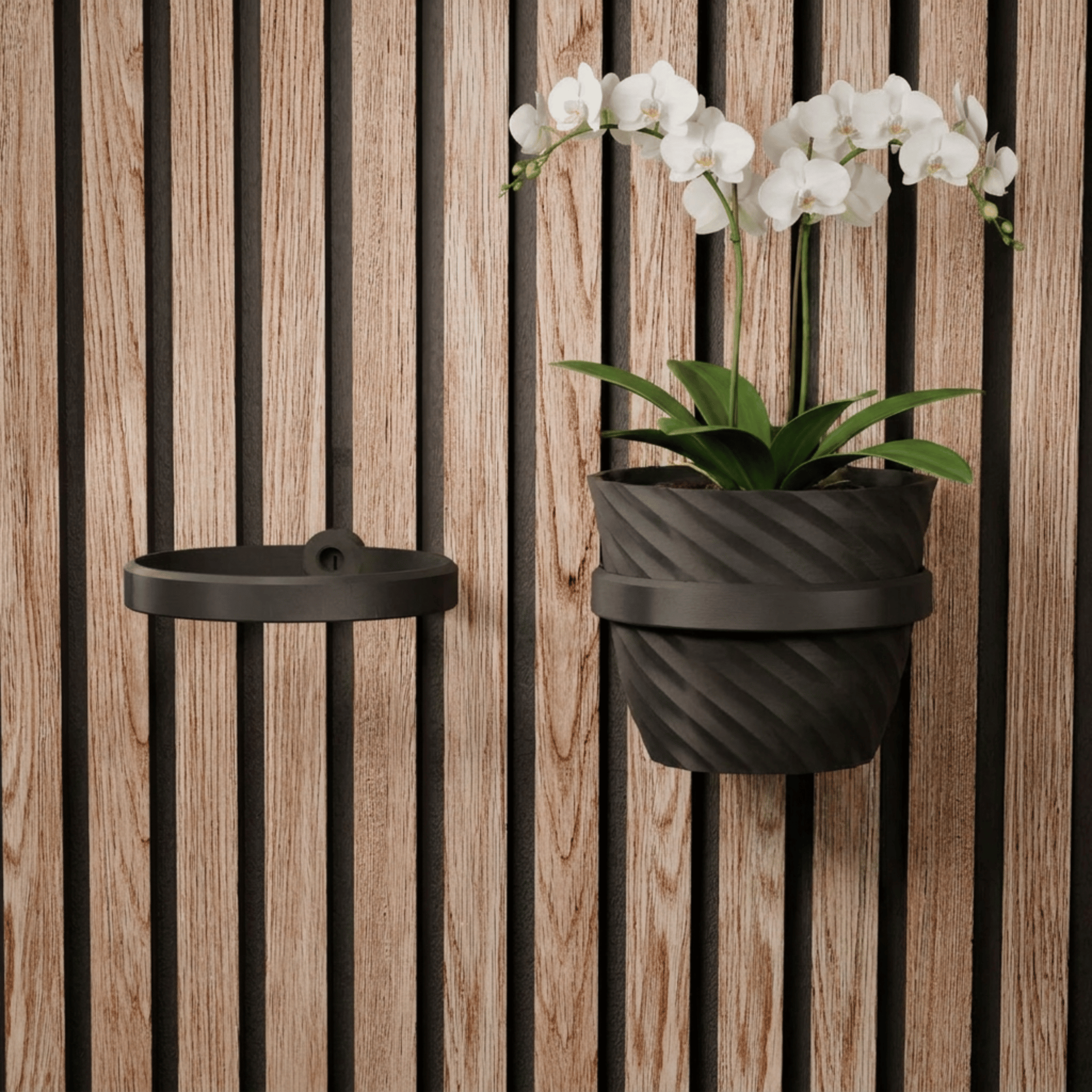 Plantenhouder/ring - Installatietype: Muurclip