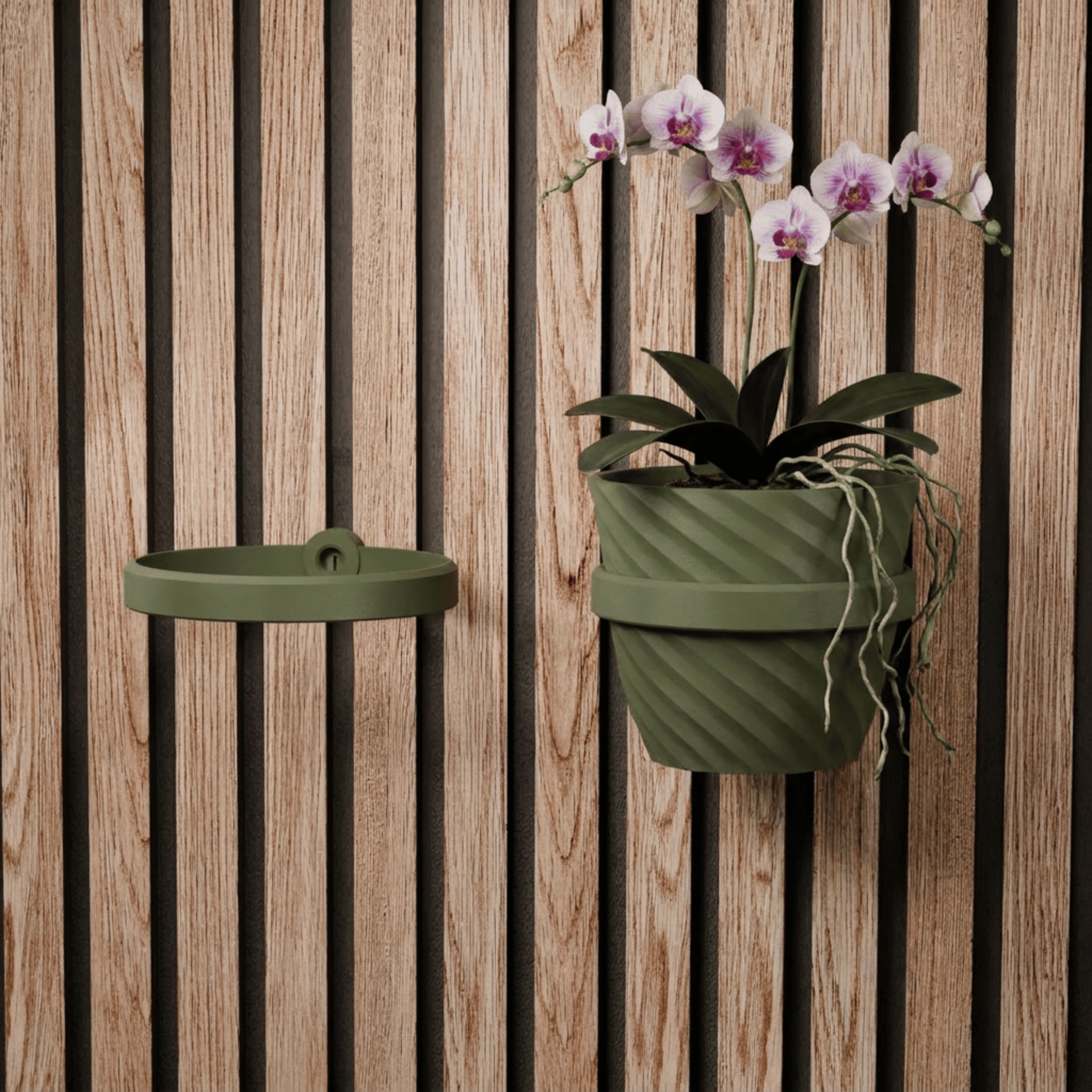 Plantenhouder/ring - Installatietype: Muurclip
