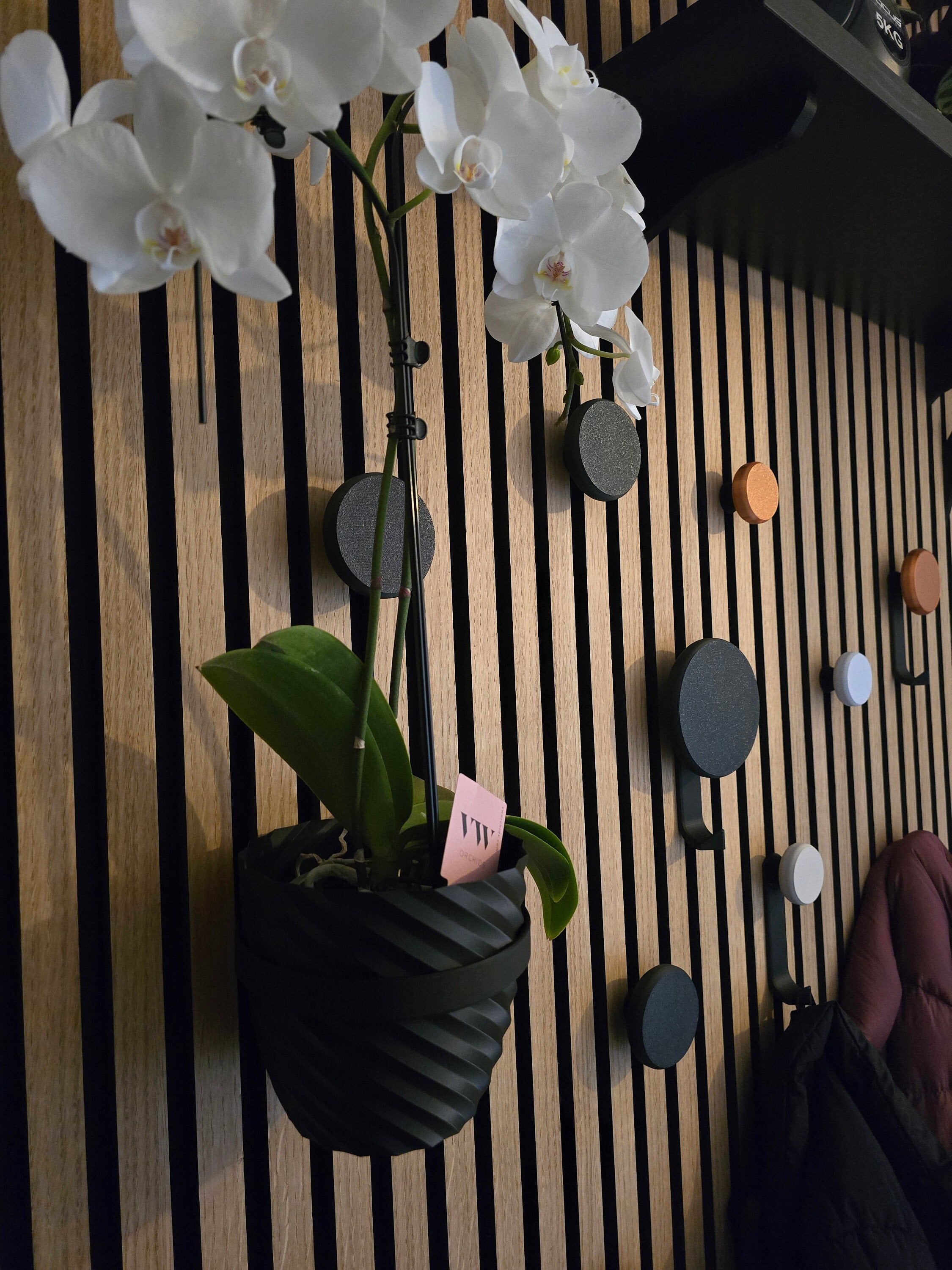 Plant Holder/Ring for Acoustic Panels - Installation Type: Wall Clip