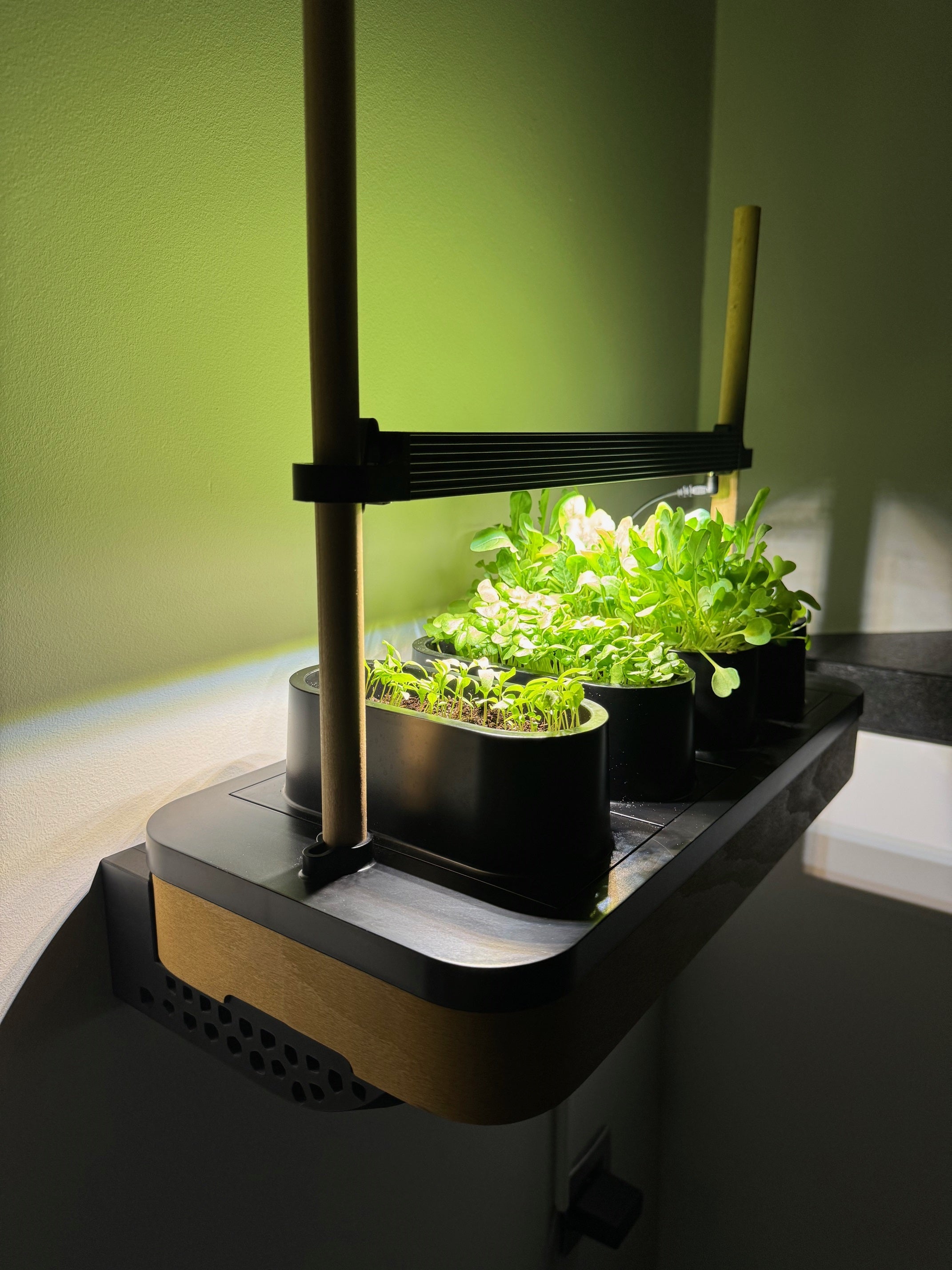 AUK Mini-Wandhalterungen – Universelle Wandhalterung – von WallTune