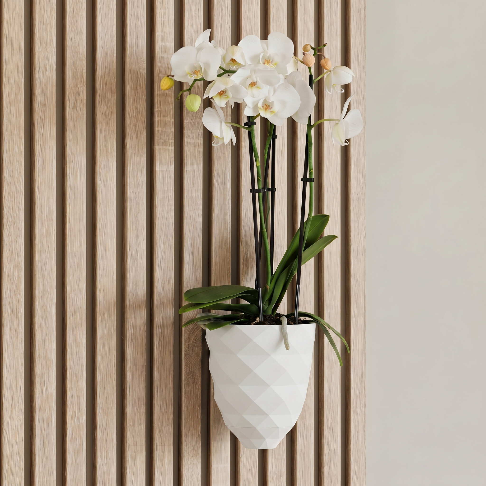 Direct mount plant vase - Installation: Wall Clip