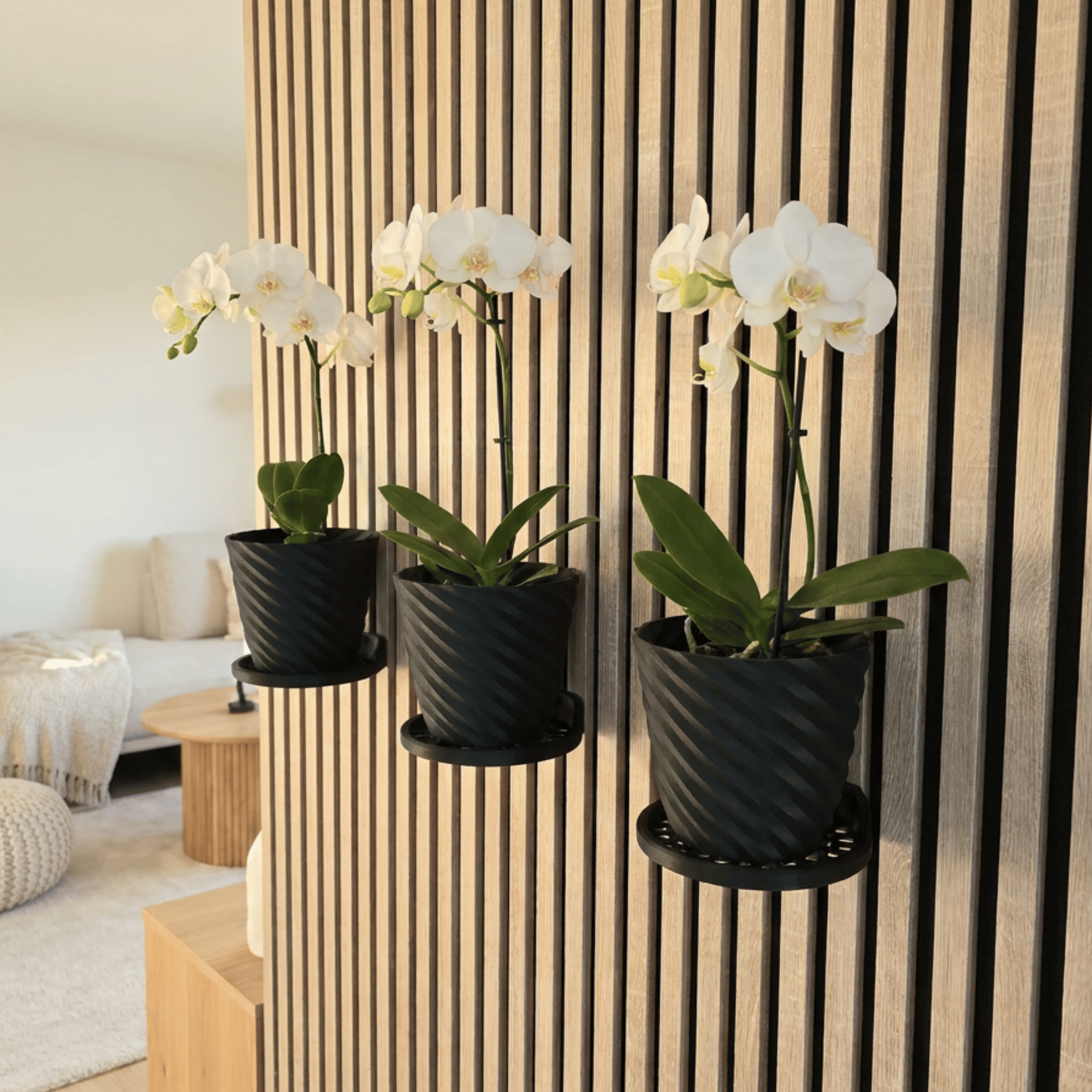 Runde Wandregal - Montageart: Wandclip
