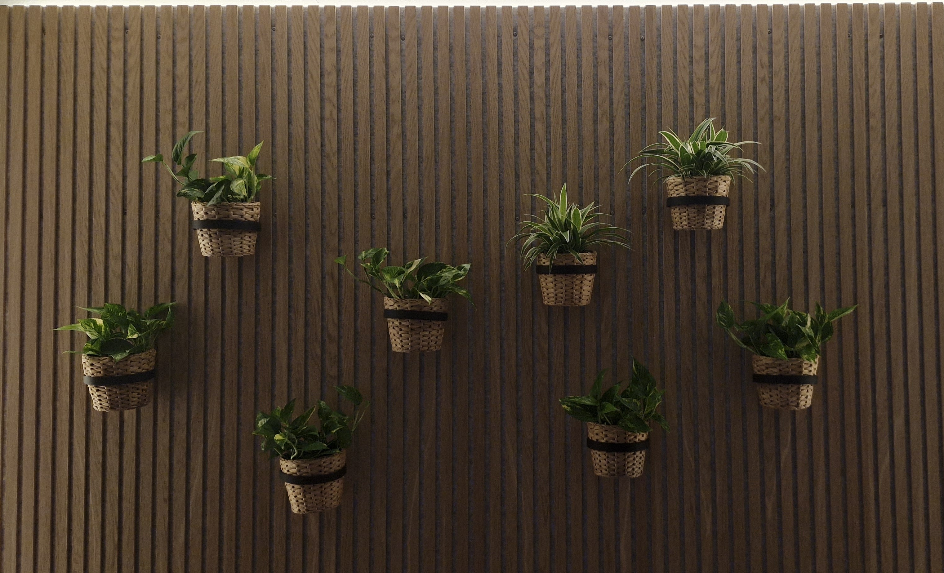 Plant Holder/Ring for Acoustic Panels - Installation Type: Screw-in