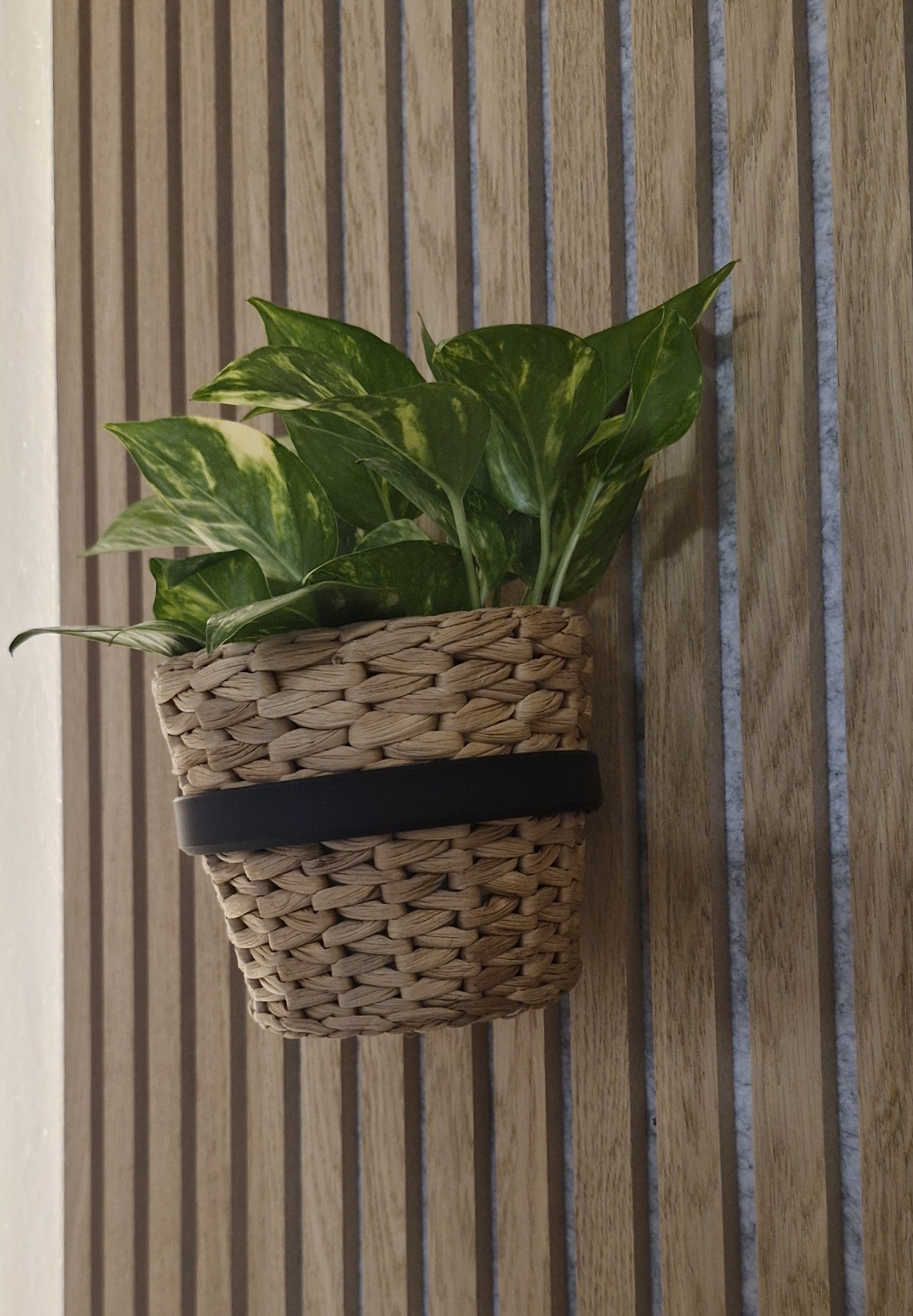 Plant Holder/Ring for Acoustic Panels - Installation Type: Screw-in