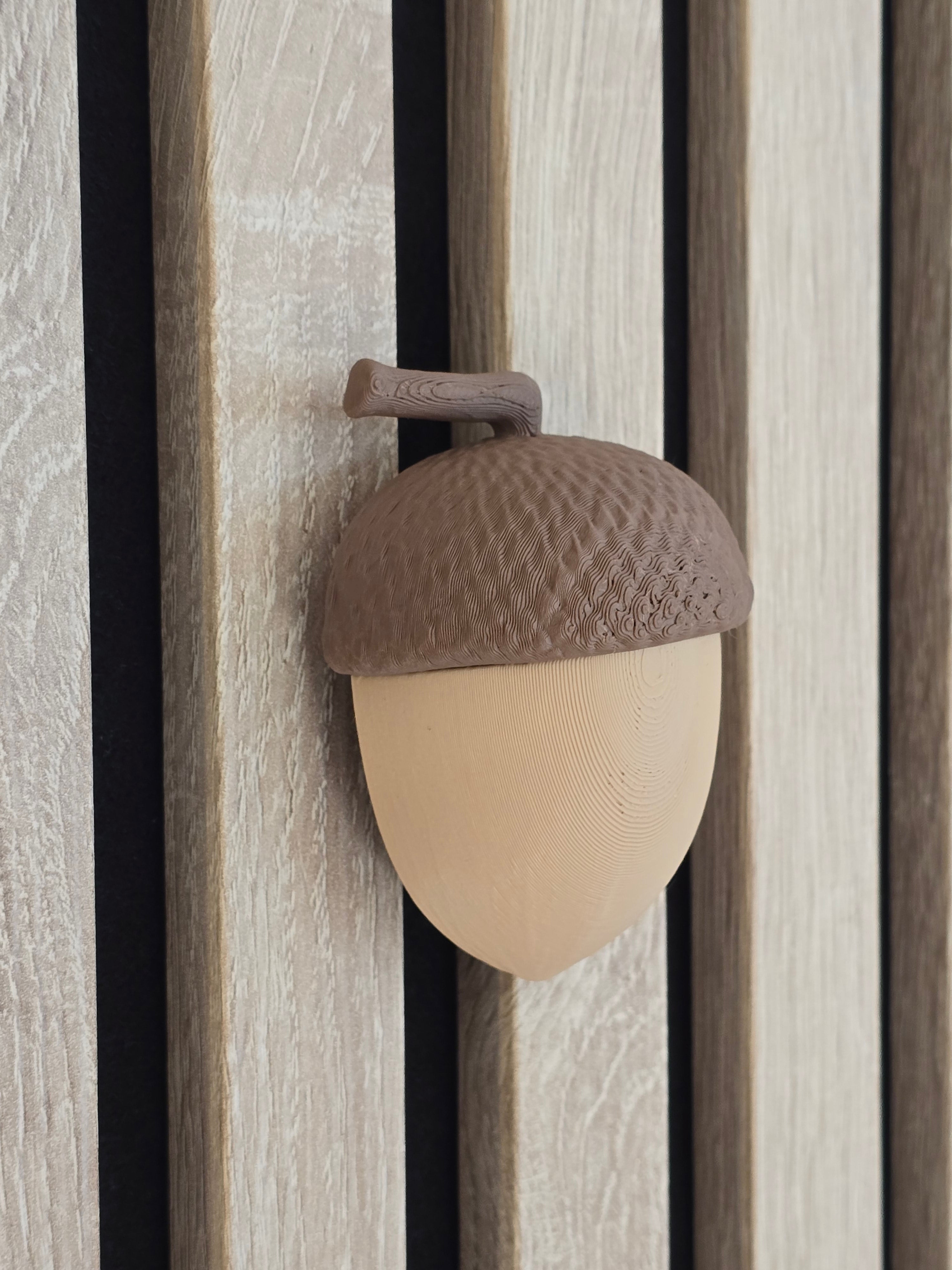 Autumn decoration - Installation: Wall Clip
