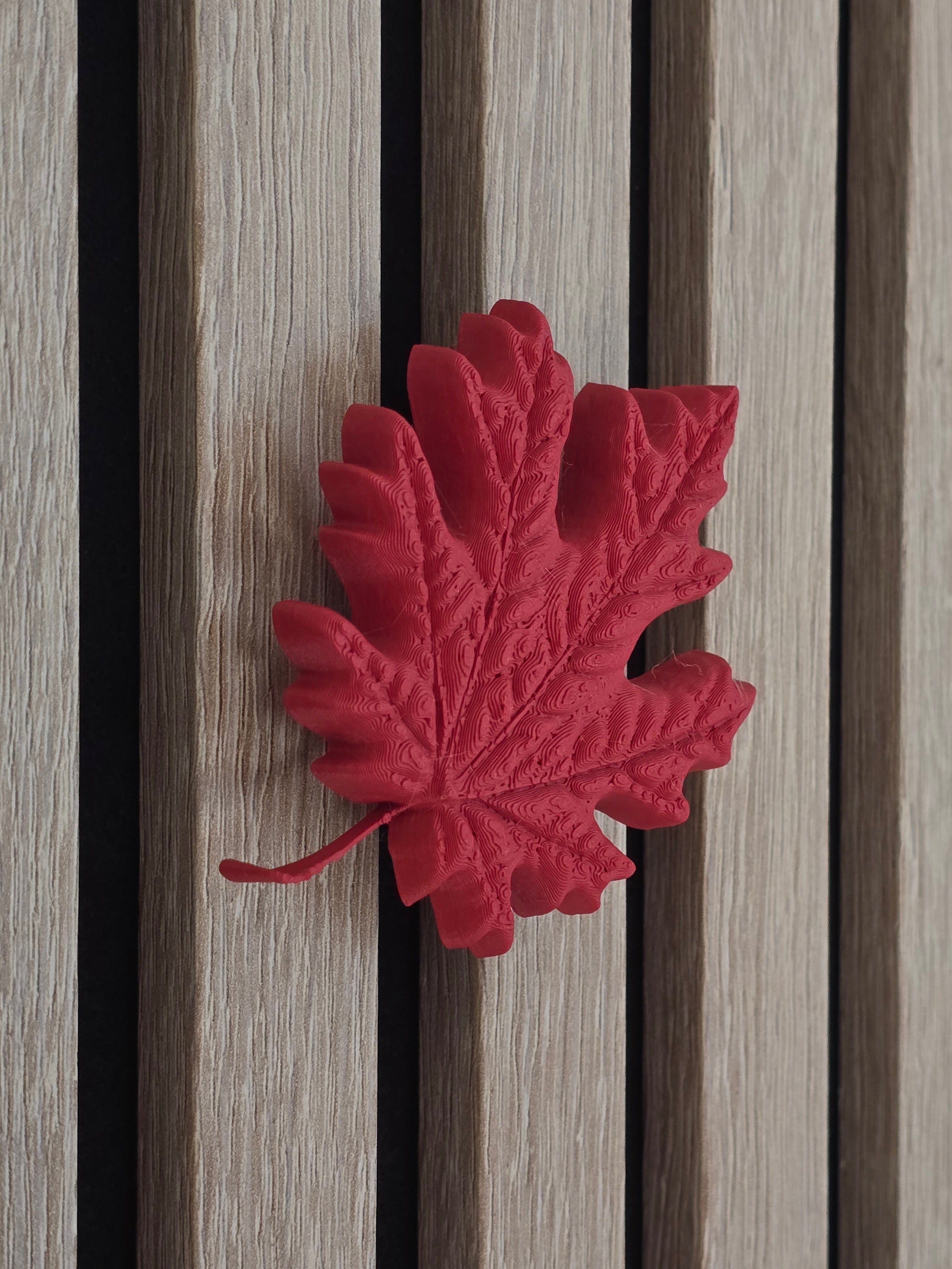 Autumn decoration - Installation: Wall Clip