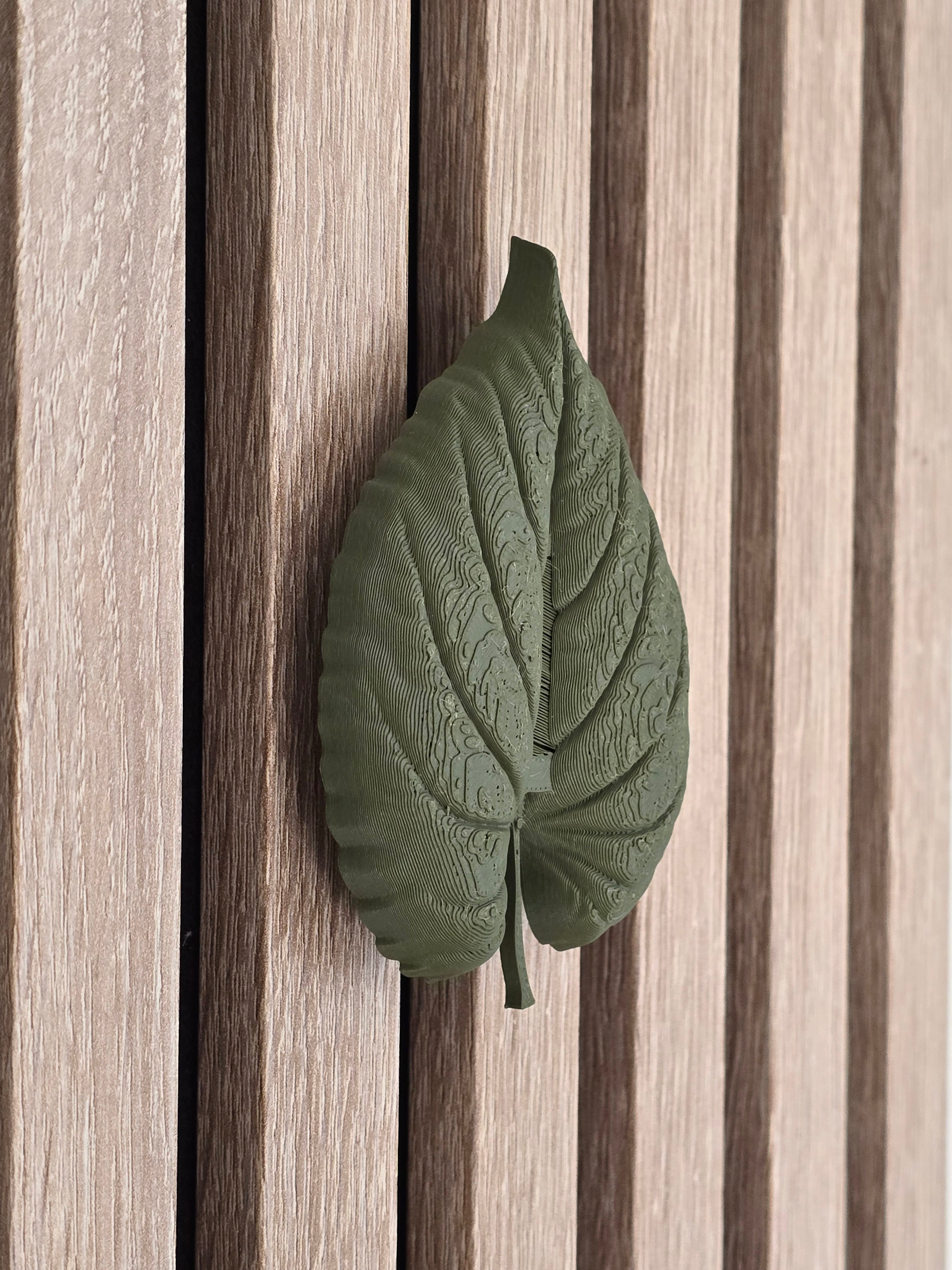 Autumn decoration - Installation: Wall Clip