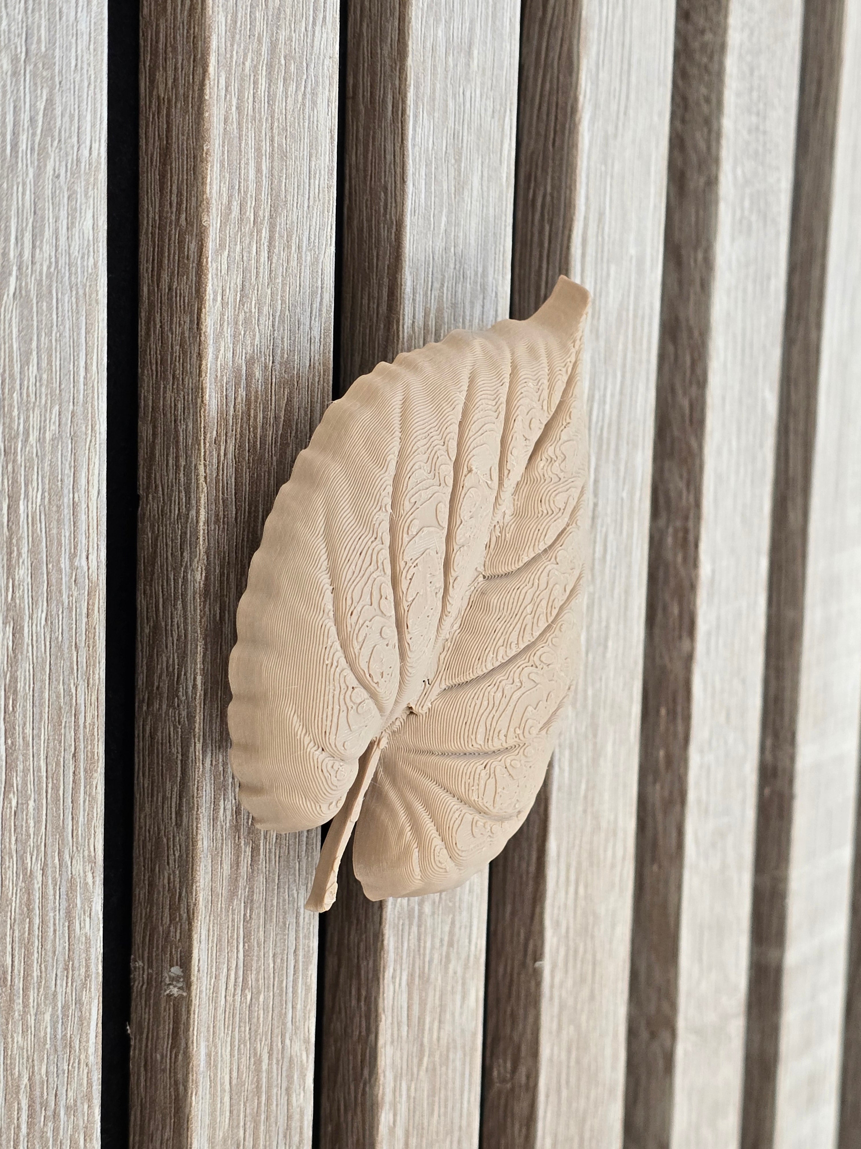 Autumn decoration - Installation: Wall Clip