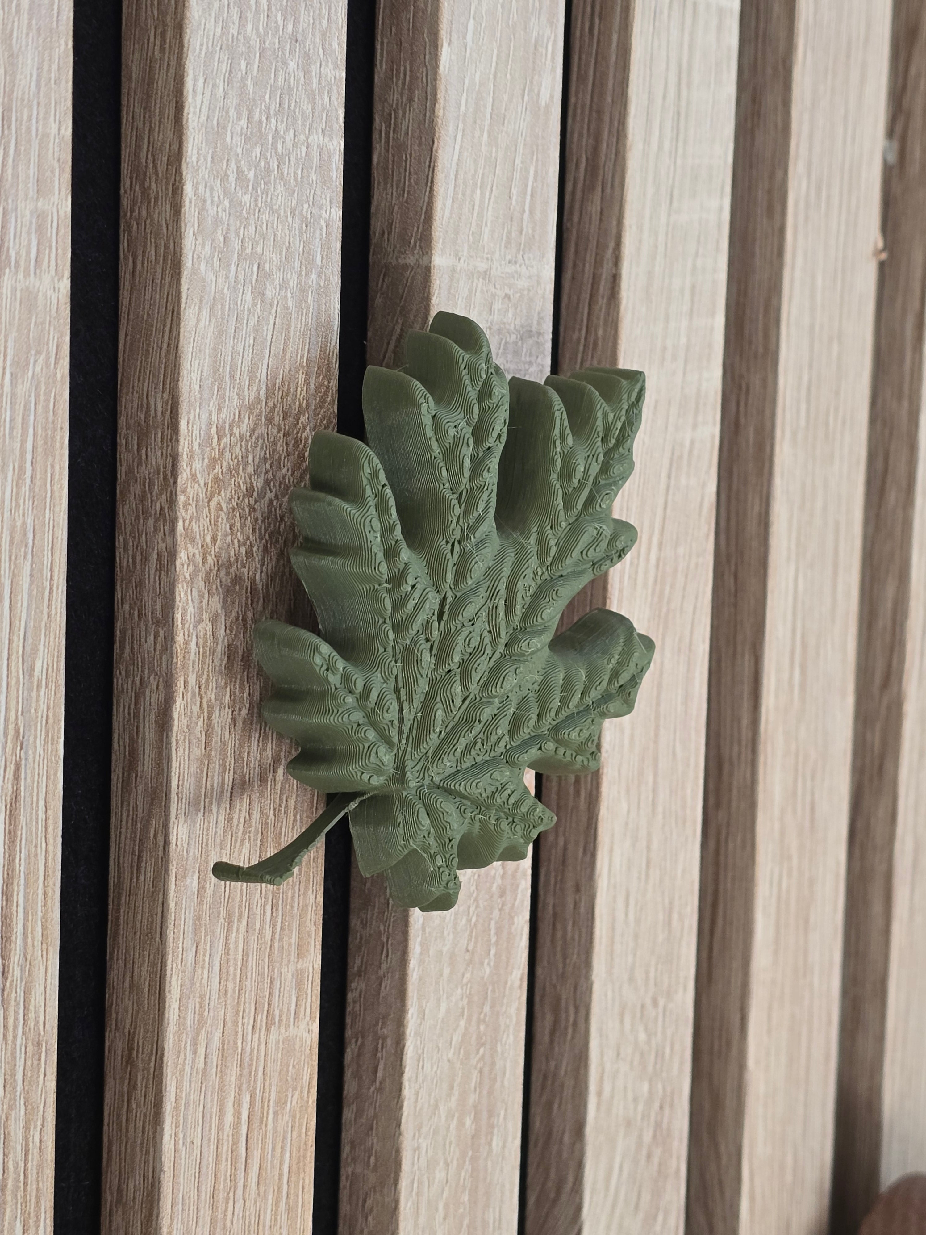 Autumn decoration - Installation: Wall Clip