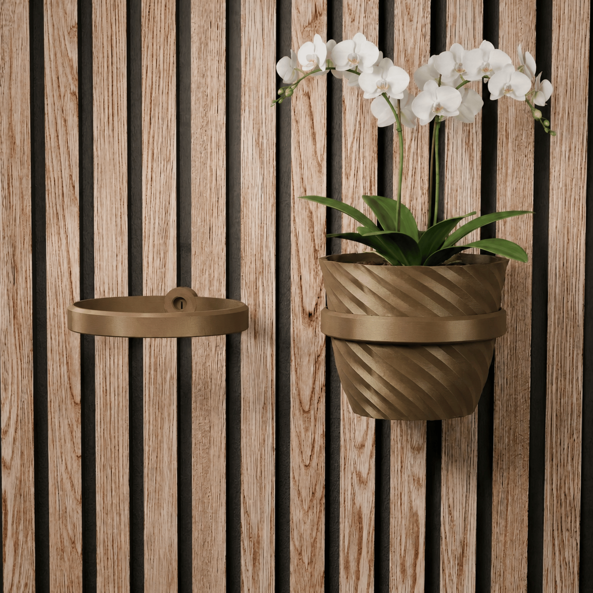 Plantenhouder/ring - Installatietype: Muurclip