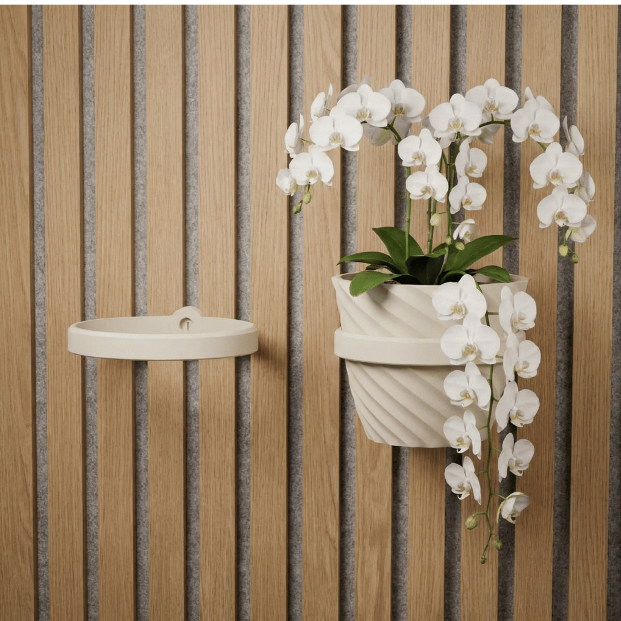 Plantenhouder/ring - Installatietype: Muurclip