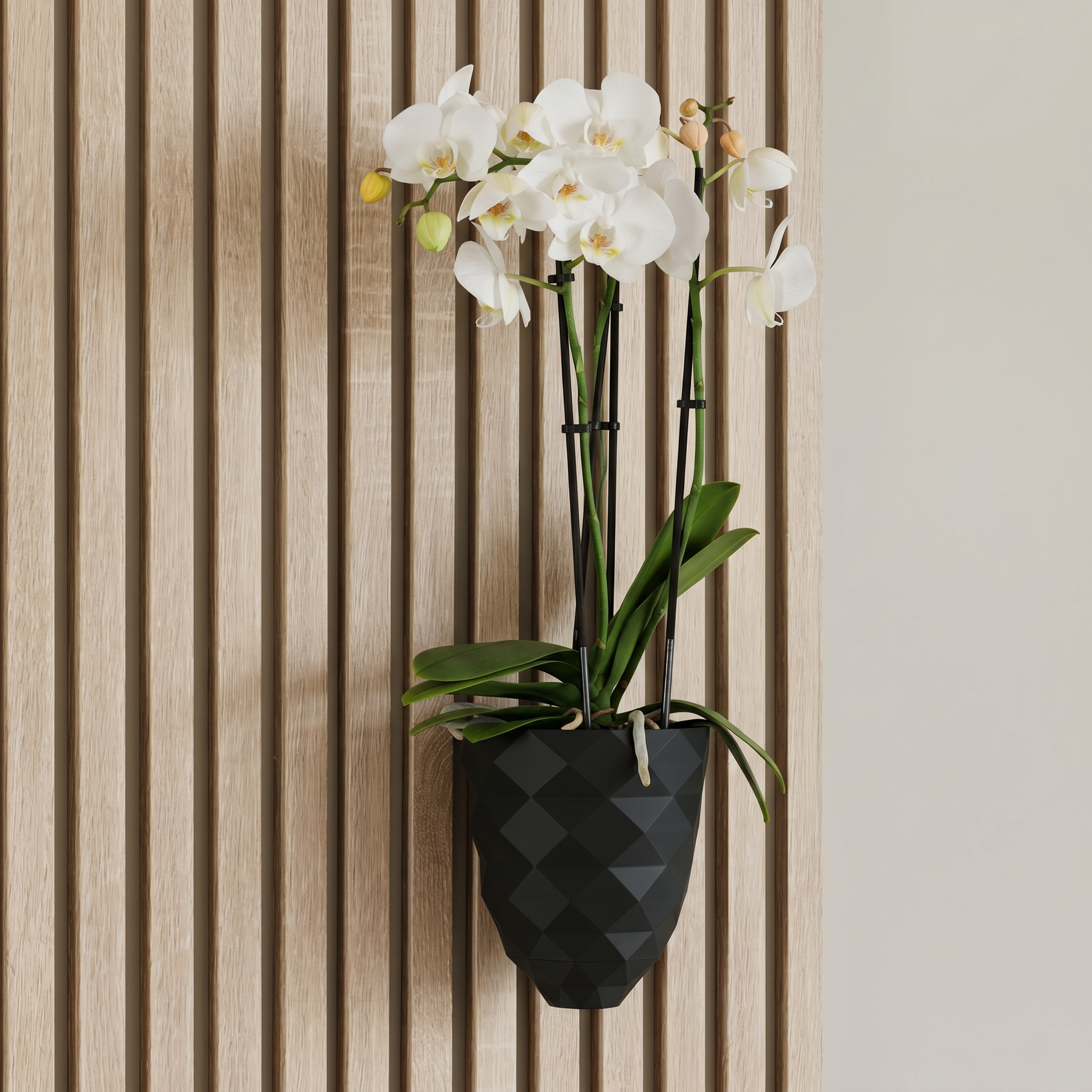 Direct mount plant vase - Installation: Wall Clip