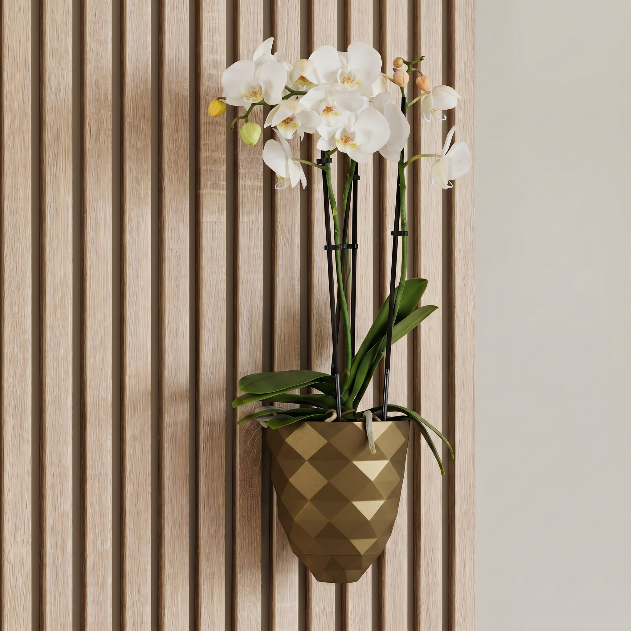 Direct mount plant vase - Installation: Wall Clip
